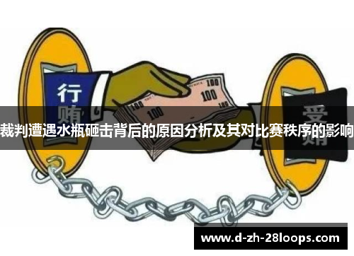 裁判遭遇水瓶砸击背后的原因分析及其对比赛秩序的影响