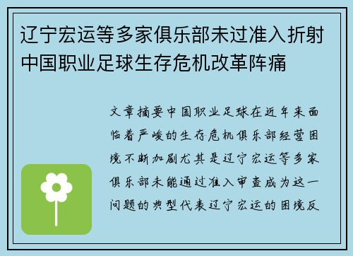 辽宁宏运等多家俱乐部未过准入折射中国职业足球生存危机改革阵痛 辽宁宏运等多家俱乐部未过准入折射中国职业足球生存危机改革阵痛